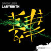 Labyrinth (Extended Mix) - David Elder