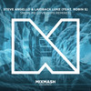 Show Me Love (Anevo Remix) - Steve Angello&Laidback Luke&Robin S