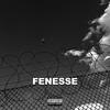 DLM (Explicit) - Fenesse