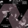 Hybrid (Original Mix) - Fernando Campo