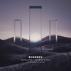 Satellites - Synergy&flowanastasia