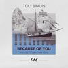 Because Of You (Original Mix) - Toly Braun