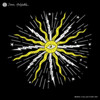 Paradise (David Orin Remix) - Never More&David Orin