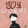 Soy Lo Que Ves (Explicit) - MoodBrry