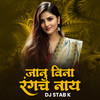 Janu Vina Rangach Naay (DJ Remix) - Rani Maske&Shubham Patil&Sachin Jadhav&DJ Stab K&Manoj Bhadakwad