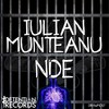 N D E (Original Mix) - Iulian Munteanu