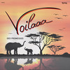 African Music - Voilaaa&LASS&Bruno Hovart&Lassana Sané