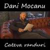 Cateva randuri - Dani Mocanu