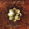 I Will Remember You (Live) - Sarah McLachlan