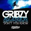 Don't You Know (Original Mix) - Gribzy