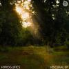 In Your Arms (Original Mix) - Hyroglifics