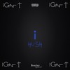 Ign't (Explicit) - hush！