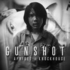 Gun Shot (Explicit) - APH1DET