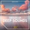 Check Noise (Original Mix) - Murysin