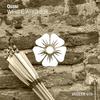 White Archer (Original Mix) - Quasi