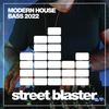 Bass Love (Original Mix) - David Fuldner