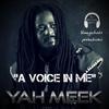 A Voice In Me(feat. Yah Meek) - DJ Michael Berth&Yah Meek