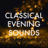 I - Lagoon Chambers Orchestra&Johannes Brahms