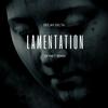 Lamentation (Skynet Remix) - DeeJay Delta&Skynet