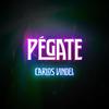 Pégate - Carlos Vindel