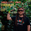 Three Little Birds - Conkarah&LÜT