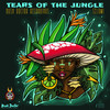 Tears of The Jungle - Selomi