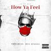 How Ya Feel (Explicit) - Dmo2real