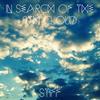 In Search Of The Ninth Cloud - Stiff