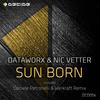 Sun Born (Daniele Petronelli & Werkraft Remix) - Dataworx&Nic Vetter