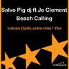 Vulcan (Toxic Crew Mix) - Salvo Pig DJ&Jo Clement