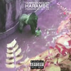 Harambe (Explicit) - Dumbfoundead