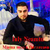 Ai O Fusta Cu Dulceata - Iuly Neamtu&Costel Biju