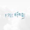 I See Birds - JSN