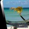 Run Tings (Original Mix) - Captain Wayan