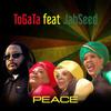 Peace (feat. Jah Seed) - Togata&Jah Seed