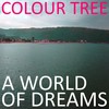 In Your Eyes I Get Lost - Colour Tree