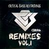 The Feast (Smasher Remix) - Experimental Chemistry