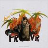 Aw Yahh(feat. Prettyheartbreak) - sincewhen&Prettyheartbreak&Andre Esparza