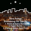 Something on the DJ (Fagan Remix) - Sara Parker