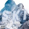 Ski (remix|Explicit) - Ricardo Raxx