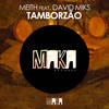 Tamborzão (Original Mix) - Meith&David Miks