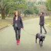 EVERGREEN - moumoon