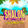 Shalom(feat. Mowty) - David Lopez&Dj Chick&Mowty&Sergio Angel