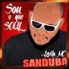 Sou Brasileiro - Levita MC Sanduba&AfroRagga&Fernandinho