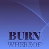 Careworn Bothers - Merve Huen