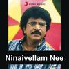 Velli Nila - Krishnaraj