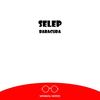 Star Of The Show(Original Mix) (Original Mix) - Selep