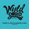 Hurting - Sooney&Love Is A Bassline&SIMM