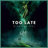 Too Late - Mismatch (UK)