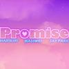 Promise (Remix) - Promise&马思唯&朴宰范&HARIKIRI